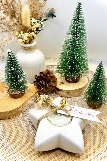 Winterstern – handgegossener Keramik-Teelichthalter mit Deko
& gratis Duftteelicht | Winterdeko & Geschenkidee