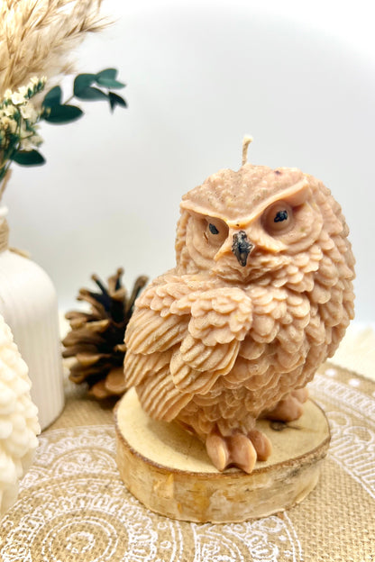 🦉Eulen Kerze handgegossen – Herbstliche Kerze, Braun oder Natur