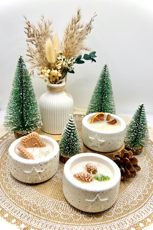 Winterlights - winterliche Kerzen - Weihnachtskerzen (verschiedene Varianten)