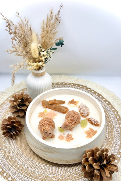🍂 Herbstzauber Duftkerze in Keramikschale | Handgegossen mit Kürbis- & Igel-Motiv | Herbstdeko & Geschenkidee