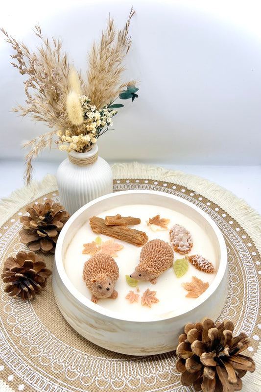 🍂 Herbstzauber Duftkerze in Keramikschale | Handgegossen mit Kürbis- & Igel-Motiv | Herbstdeko & Geschenkidee