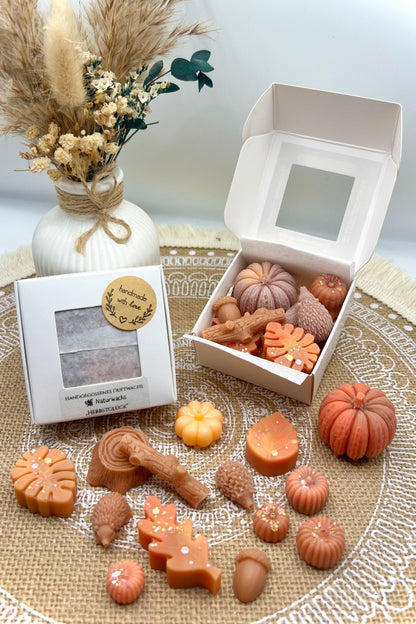 Handgemachte Wachsmelts | Duftende Waxmelts – Herbst & ganzjährig | Pumpkin Spice & mehr