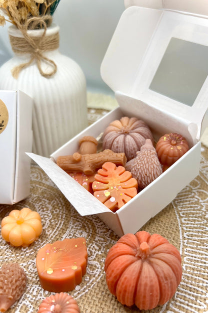 Handgemachte Wachsmelts | Duftende Waxmelts – Herbst & ganzjährig | Pumpkin Spice & mehr